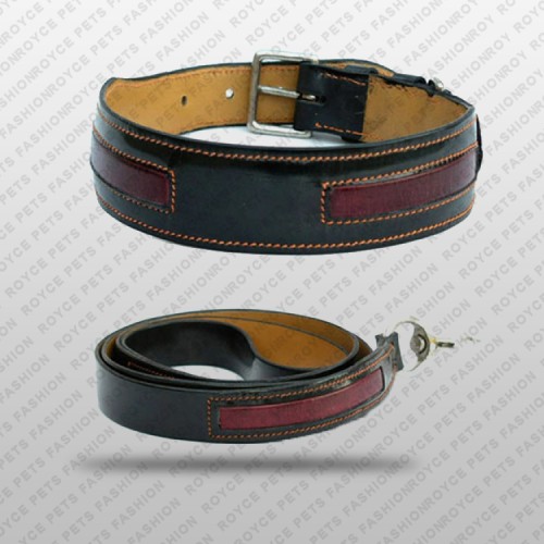 Dog Collar